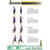 MSD Latex Free Band Special Strength 1.5m Well-trained Users Black