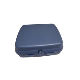 Tupperware Sandwich Box Storage Box Lunch Box Square with Hinge and Latch and Designs (Blue)