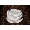 stoneandstyle Stone Blossom, Solid Cast Stone, Frost and Weatherproof