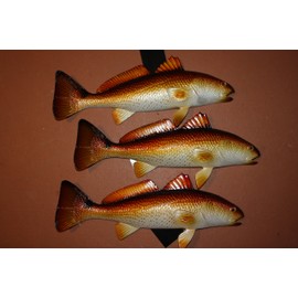 Tropical Coral Reef Sea Life Wall Hangings Redfish Trophy Mount, 11" to 12", Ultra-Realistic Redfish Replica for DIY Fish Trophy Mount, Set of 3