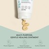 The Honest Company Head to Toe Multi-Purpose Healing Ointment |