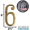 6-inch House Number 6 (Six) with Mounting Screws, Polished Brass,