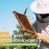 Snackathon Honey Sticks, Clover Blossom Pure Honey, 100 Count Bulk,