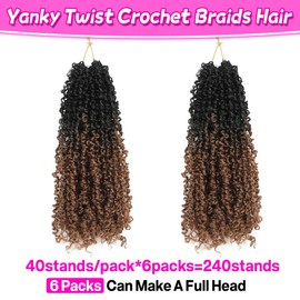 Youngther Yanky twist crochet hair Pre-Twisted Fluffy Spring Mini Twist with curly crochet hair for black women crochet hair pre looped Synthetic hair extension（12inch OT30 2PCS）