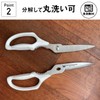 Black Scissors for Left and Right Use [Made in Japan]