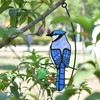 Cute Birds Suncatcher Bird Stained Glass Window Hangings for Window
