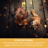 Sensipharm Inconti Stop Bladder Formula for Dogs - Supports Bladder