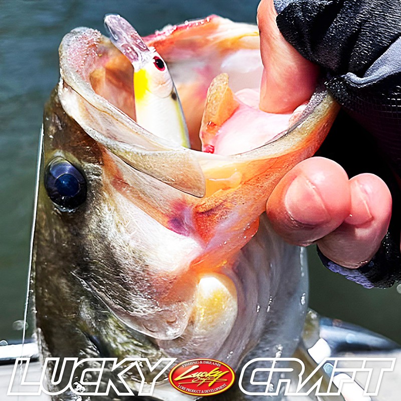 LUCKY CRAFT Pointer 78 (318 Gizzard Shad)