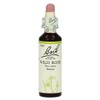 Bachbl�te Wild Rose, 20 ml
