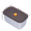 Food Storage Box Food Grade Stainless Steel Fruit Container Bento