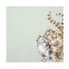 Wrendale Designs Feeline Good Cat Napkins 33cm Pack of 20