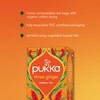 Pukka Three Ginger Organic Herbal Tea, Digestion-Aiding Infusion With Ginger,