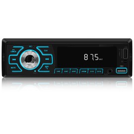Single Din Car Stereo Bluetooth 1 Din Car Radio Supports FM Radio, Bluetooth Call, APP Control, USB Charging, Aux,7 Colors Lighting