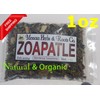 Mexicanherbs 1oz Zoapatle, Zihuapatle, Cihuapatli, Montanoa tomentosa acahuiete,Ciguapatle