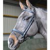 John Whitaker Ready To Ride Snaffle Bridle Havana Full