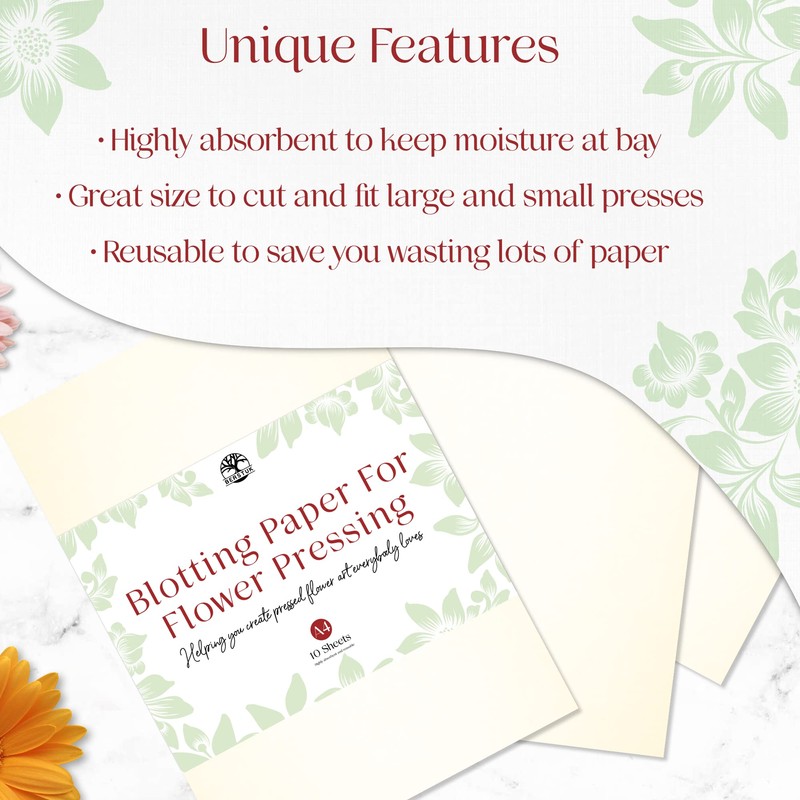 Blotting Paper for Flower Press • Large A4 Flower Press