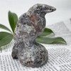 1pc Natural Yooperlite Crow Skull Quartz Crystal Skull Carved Figurines