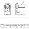 10.9 Strength Flange Bolts M10P = 1.25 (Fine) X 25L