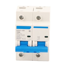400V 80/100/125A Leakage Protection Switch DZ47‑125 2P​ Current Miniature Circuit Breaker(100A)