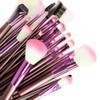 Science Purchase- 22 Piece Makeup Brush Set PINK