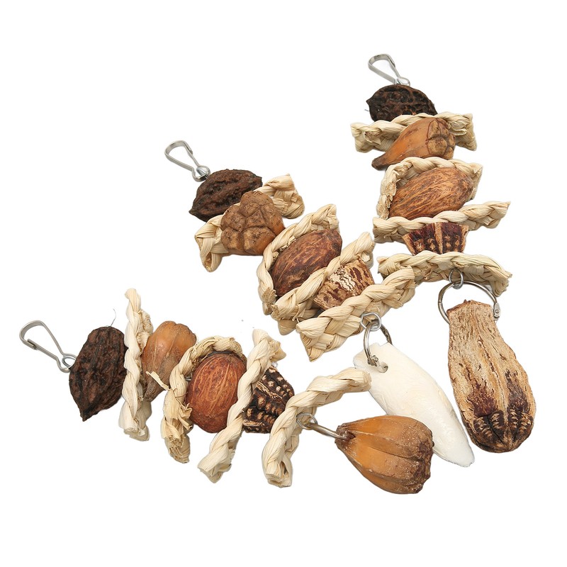 Parakeet Beak Stone Parrots Trimming Chew Toys Set Bird Nuts