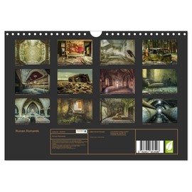 Ruinen Romantik (Wall Calendar 2026 DIN A4 Landscape), CALVENDO Monthly Calendar