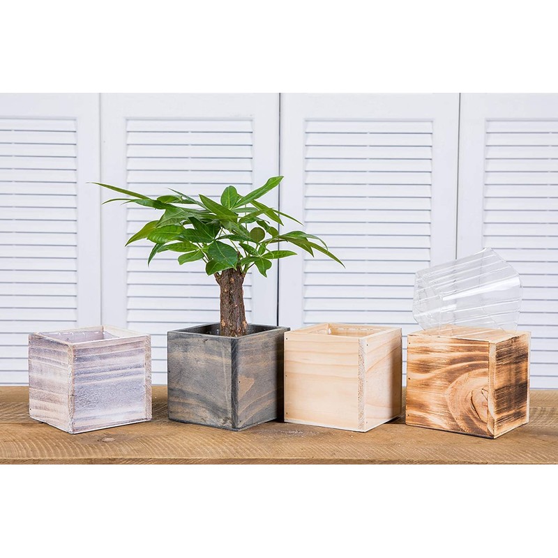 Clear Plastic Liners for Wood Boxes (4”x 4.75”) l Inserts