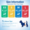 Pet Soft Dog Diapers Male - Disposable Male Dog Wraps