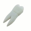 Ulticool - Tooth 8 GB USB - Dentist Dental Hygienist