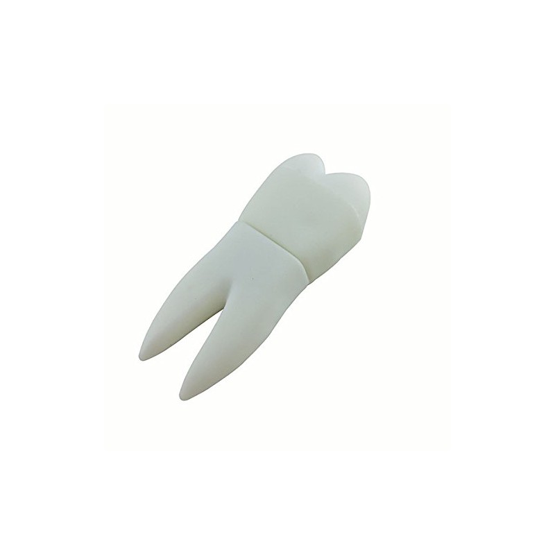 Ulticool - Tooth 8 GB USB - Dentist Dental Hygienist
