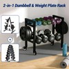 2-Tier Dumbbell Rack Small Weight Rack For Home Gym 350LB