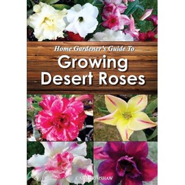Home Gardener's Guide to Growing Desert Roses