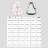 Pack of 2 Carabiner Hooks, Stainless Steel 304 Triangular Carabiner