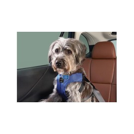 Subaru Pet Harness Ascent Impreza Outback Crosstrek Legacy WRX Sti Forester 4 Sizes Genuine (Medium 22.5"-28")