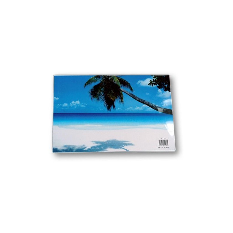 Zep S.r.l 730128 Horizontal Acrylic Photo Frame, 20 x 30