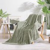 Monbix Sage Green Fleece Throw Blanket for Couch- Room Decor