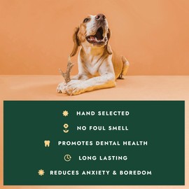 William Hunter Naturally Shed Deer Antler for Dogs - Long Lasting Dog Antler Chews for Aggressive Chewers, Ethically Sourced from Scottish Highlands with No Foul Smell (3 Medium Antlers)