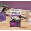 Sambucol 6 Pack-Sambucol Black Elderberry Cold & Flu Relief Tablets