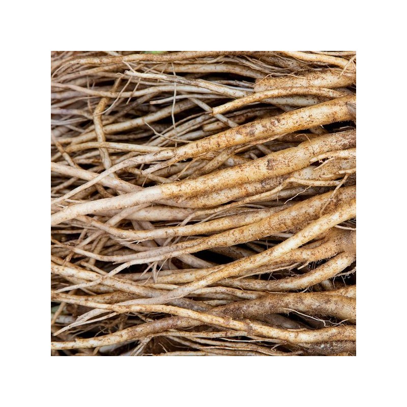 우슬 추출물 복합정 120정 1통 Horsetail Extract Complex Tablets 120