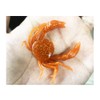 Tsubay Light Game WORM AZW-M M004# Brown/Red Glitter Azurro Crab
