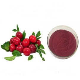 크랜베리농축분말H 100g 샘플 Cranberry Concentrate Powder H 100g Sample