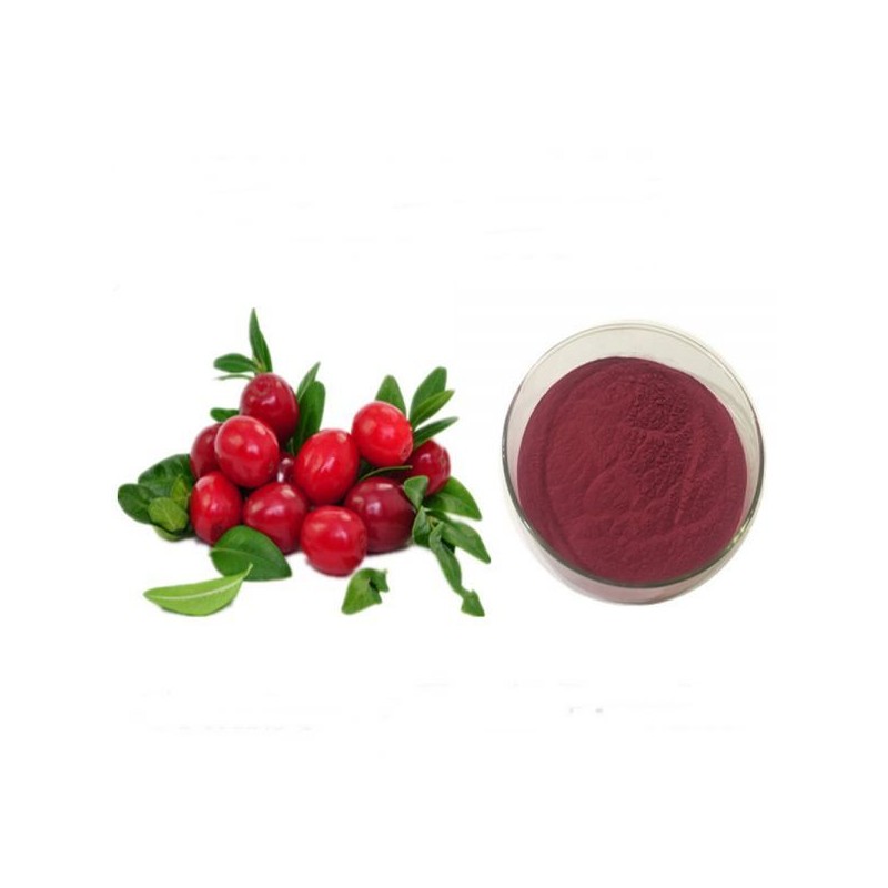 크랜베리농축분말H 100g 샘플 Cranberry Concentrate Powder H 100g Sample