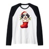 Havanese Christmas Stocking Puppy Dog Lover Holiday Raglan Baseball Tee