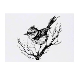 'Wren Bird on Branch' Temporary Tattoo - Water Resistant, Skin-Safe, Non-Toxic Transfer (TO00074553)