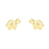 Women's & Children's Turtle Stud Earrings - Gift Box, metal
