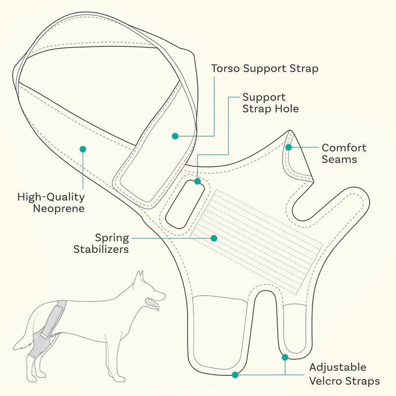 Hind Leg Dog Knee Brace, Cruciate Ligament Care Knee Brace