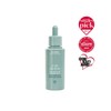 Aveda Scalp Solution Overnight Renewal Serum 50ml / 스칼프솔루션 오버나이트
