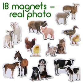Fridge Magnets For Toddlers Magdum - 18 MOM and BABY Kids Fridge Magnets - Animal Magnets For Toddlers - Fridge Magnets For Kids - Kids Magnets - Magnetic Shapes - Magnet Toy - Kids Magnets For Fridge