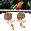 Parrot Cage Shredder Toy Bird Chewing Foraging Shredder Toy for