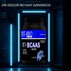 Aminoácidos Suplemento Bcaas + Glutamina Nit-pro 1kg 50serv